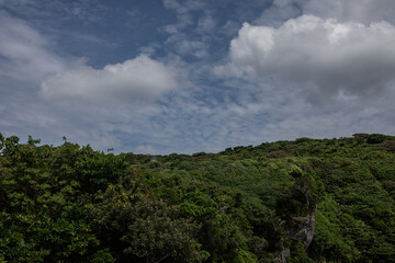 沖縄本島の風景