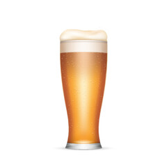 Cold beer, ale or lager in transparent glass isolated on white background. Mug of fresh beer alcohol