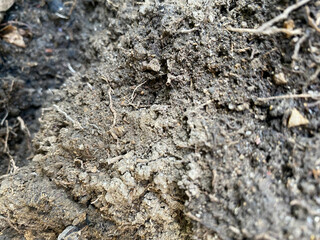 soil ground