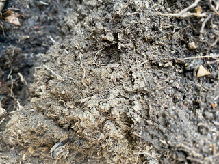soil ground