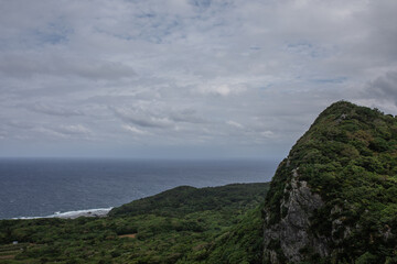 沖縄の空と海と植物