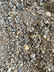 soil ground