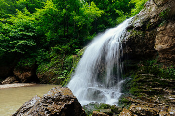 Forest waterfall with rocks, ferns and green moss