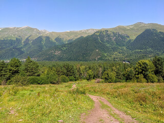Beautiful landscape of the Caucasus Mountains and coniferous forest in the village of Arkhyz. Teberdinsky natural reserve. Arkhyz, Karachay-Cherkessia, Russia