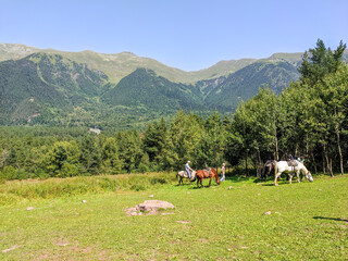 Arkhyz, Caucasus, Russia - August 23, 2022: Beautiful landscape of the Caucasus Mountains and coniferous forest in the village of Arkhyz. People ride horses in the Teberdinsky nature reserve