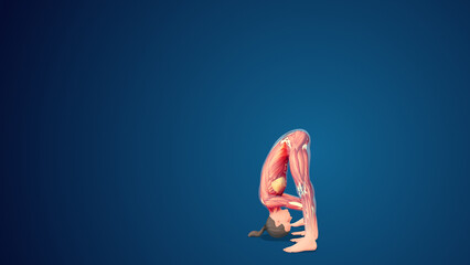 3D human Prasarita padottanasana wide-stance forward bend yoga pose on blue background