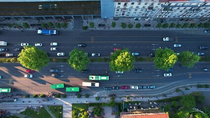 Transport and bus lanes in the street