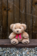 Teddy bear with pink bow sits outdoor on the wooden background