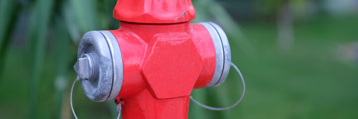 Red fire hydrant standing in park closeup