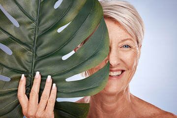 Skincare, portrait of mature woman and leaf, organic cosmetics for face on studio background....