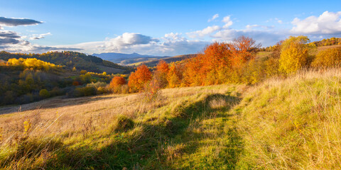 fantastic autumn afternoon in carpathians. iconic picture of transcarpathia with pikui peak in the distance. superb evening landscape of ukrainian countryside. traveling concept background