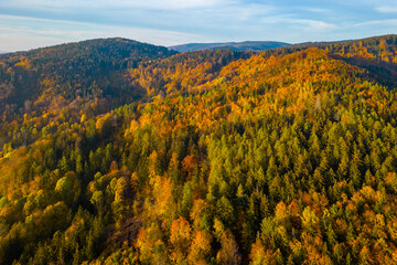 Naklejka premium Colourful autumn forest of Jizera Mountains. Aerial view from drone.