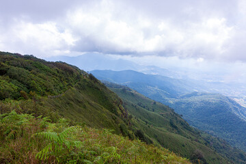 Fototapeta na wymiar Hiking trails in Kew Mae Pan National Park, Chiang Mai Province