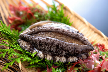 アワビの刺身・和食