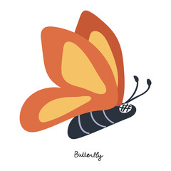 Cute little butterfly. Illustration on white background.