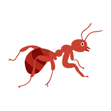 Ant. Insect. Flat illustration on white background.