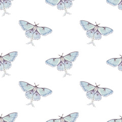 Watercolor seamless pattern with illustration luna moth, moon butterfly, Actias luna isolated on white background.