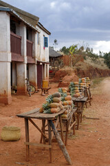 Vente d'ananas en bord de route