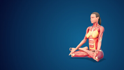 3D human Padmasana or Lotus yoga pose on blue background