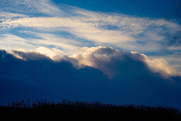 dark dramatic clouds over the horizon at sunset over the reeds