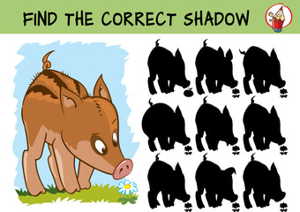 Little boar. Wild pig. Find the correct shadow