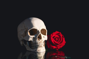 Human skull and flowers. Day of the dead, Dia de los muertos character.