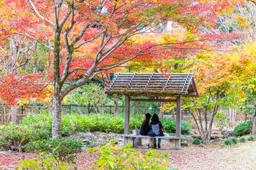 偕楽園公園もみじ谷の紅葉