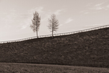 cultural landscape with trees and sky