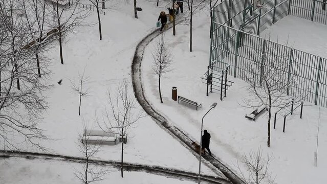 A man with a dog and a woman with bags walk along a road cleared of snow. Worker removes snow with a snow blower in yard of city (top view)