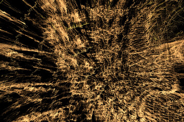 Abstract background shape design template, futuristic background, Multicolour wall background. Multicolored background. Transparent lines and spots. Texture backdrop, macro