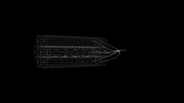  Dynamite rotation on black and chromakey bg video 4K.