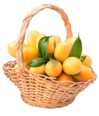 Sweet Yellow Marian Plum in basket isolated on white background, Tropical fruit Marian Plum, Mayongchid, Maprang, on white background With clipping path.