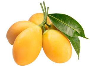 Sweet Yellow Marian Plum isolated on white background, Tropical fruit Marian Plum, Mayongchid,...