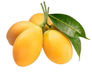 Sweet Yellow Marian Plum isolated on white background, Tropical fruit Marian Plum, Mayongchid, Maprang, on white background With clipping path.