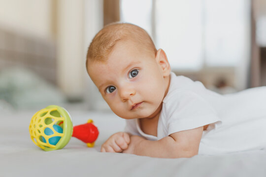 close-up of a baby girl 2 months old, lies on her stomach with a rattle, looks at the camera, the concept of newborn, infancy