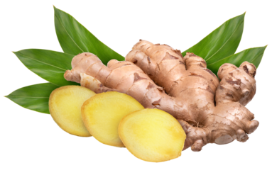 Fresh ginger with green leaves on white background, Ginger root on white background PNG File.