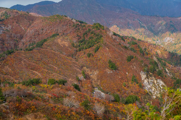 秋の三方岩岳に登る　静岡県