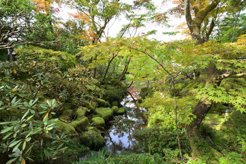 Fototapeta premium 紅葉し始めの日本庭園 日光山輪王寺