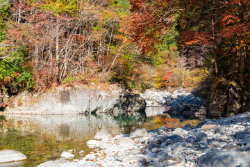 秋の阿寺渓谷
