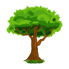 Isolated vector green tree with cartoon style.