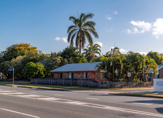 palm trees in the city