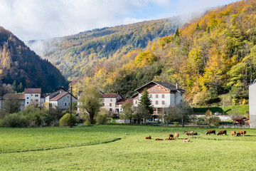 Vercors