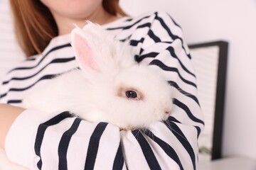 Woman with cute fluffy white pet rabbit indoors, closeup