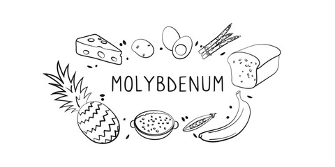 Molybdenum-containing food. Groups of healthy products containing vitamins and minerals. Set of fruits, vegetables, meats, fish and dairy.