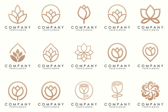 Abstract elegant flower rose logo icon set.