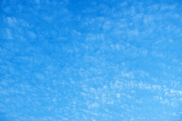 Clouds in the blue sky. Natural sky background texture, beautiful color. Peaceful blue sky with light clouds. The free form beauty of clouds and sky is perfect for background, backdrop and wallpaper.