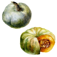 Watercolor illustration, set. Image of pumpkin.