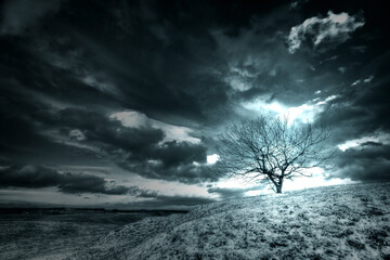 Landscape silhouette of a lonely tree on a hill, dramatic dark storm clouds in the background,...