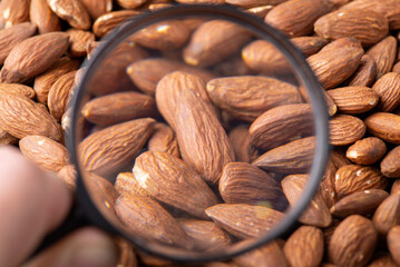 Magnifying glass on almond. Studying almond concept, its effect on people`s health