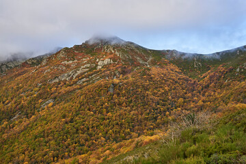 Otoño en la Sierra de Ancares (Castilla y León)
